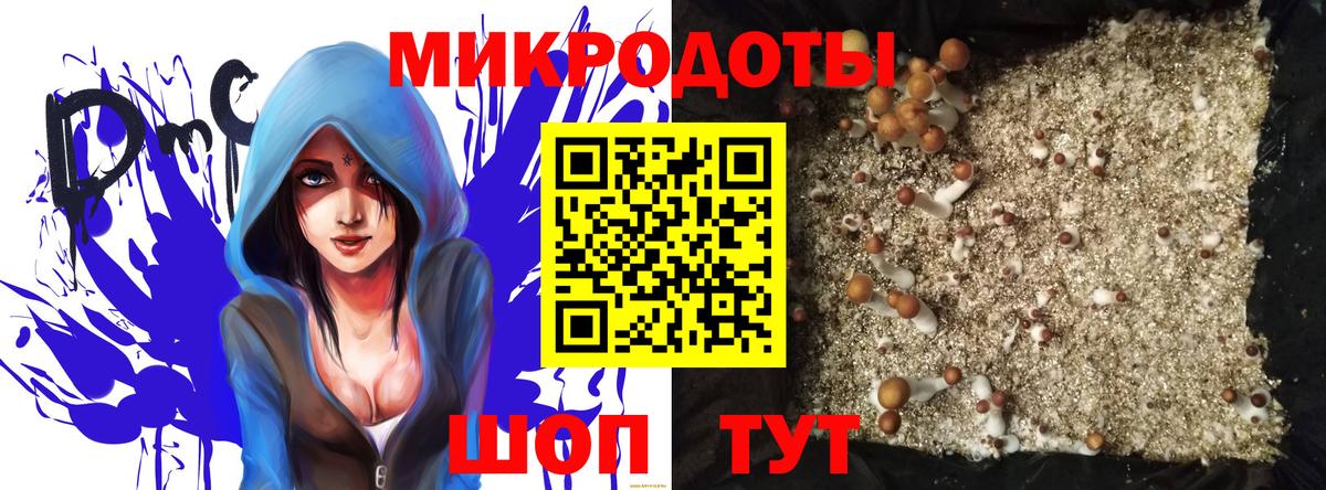 Галлюциногенные грибы мицелий  даркнет сайт  Калач-на-Дону  Галлюциногенные грибы прущие грибы  Вход с VPN 