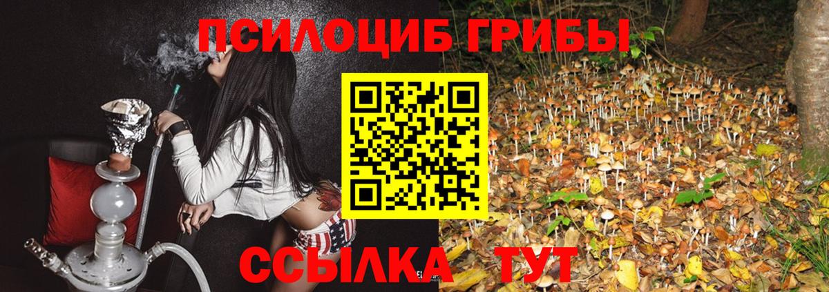 Псилоцибиновые грибы прущие грибы Калач-на-Дону